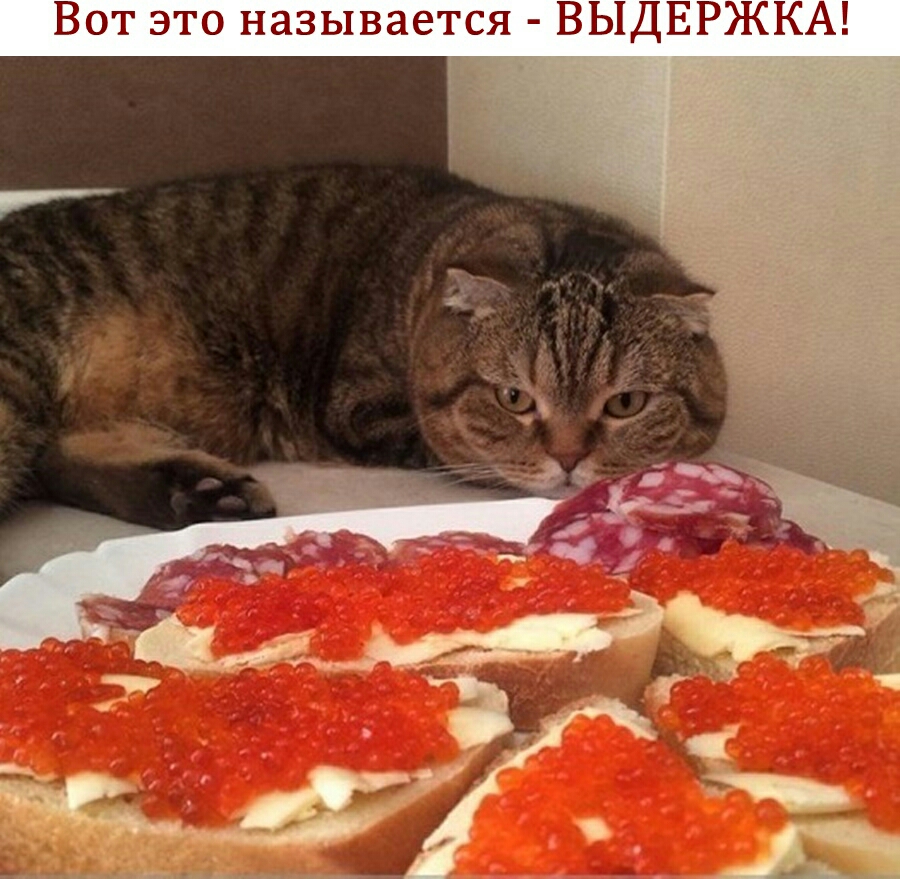 Вот это называется ВЫДЕРЖКА