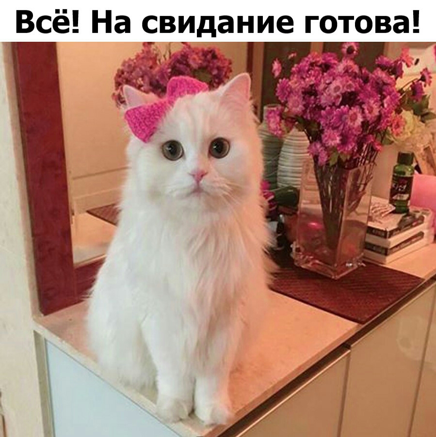 Всё На свидание готова