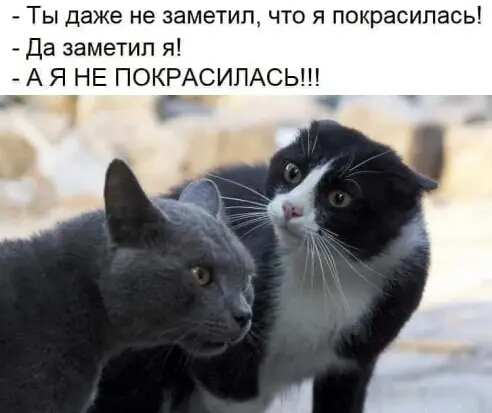 ТЫ даже не ЗЭМЭТИД ЧТО Я покрасилась Да заметил я А Я НЕ ПОКРАСИПАСЬ д
