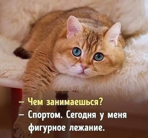 Че занимаешься Спортом Сегодня у меня фигурное пежание