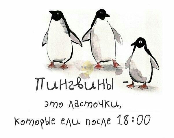Это АастоЧКы КоМогЫе гАы посе 1800