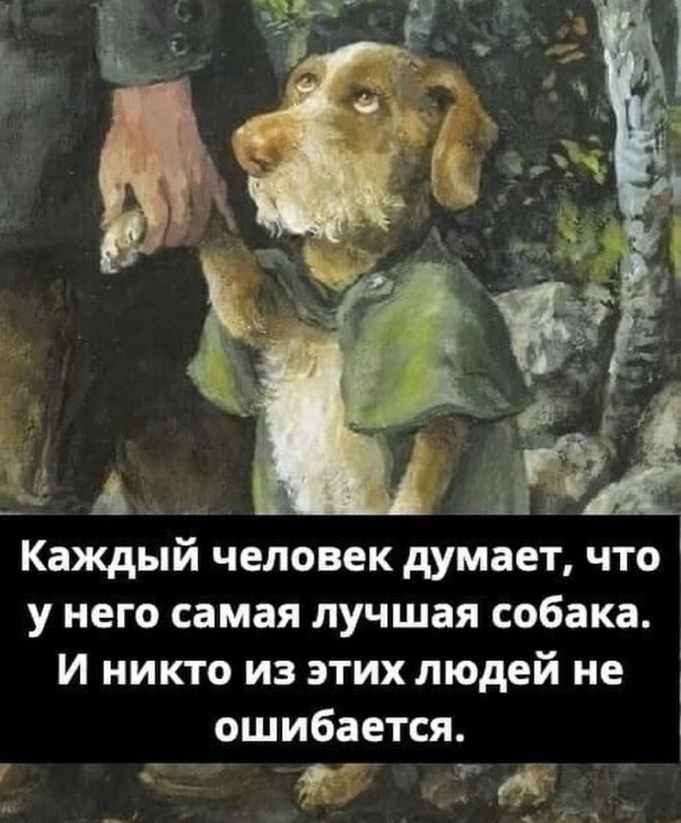 Каждый человек думает что у него самая лучшая собака И никто из этих людей не ошибается г г ух