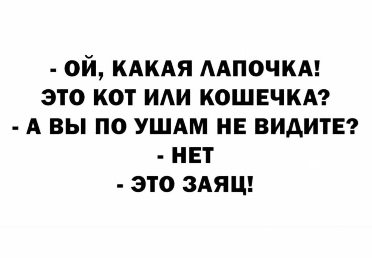 ОЙ КАКАЯ ААПОЧКА ЭТО КОТ ИАИ КОШЕЧКА А ВЫ ПО УШАМ НЕ ВИАИТЕ НЕТ ЭТО ЗАЯЦ