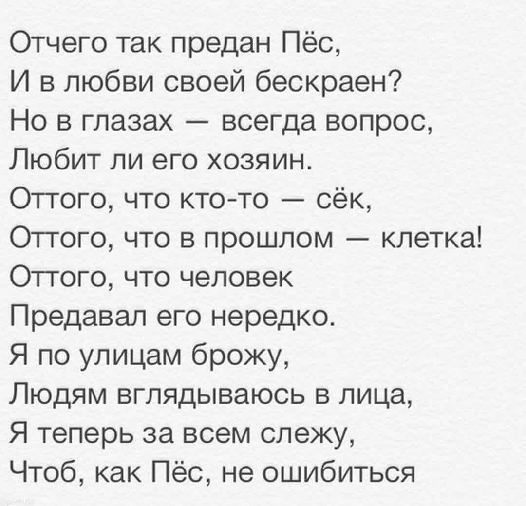 Отчего так предан Пёс И в любви своей бескраен Но в глазах всегда вопрос Любит ли его хозяин Оттого что кто то сёк Оггого что в прошлом клетка Оттого что человек Предавап его нередко Я по улицам брожу Людям вглядываюсь в лица Я теперь за всем слежу Чтоб как Пёс не ошибиться