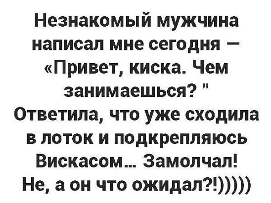 Незнакомый мужчина написал мне сегодня Привет киска Чем занимаешься 0тветила что уже сходила в поток и подкрепляюсь Вискасом Замолчал Не а он что ожидал