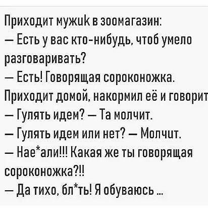 Приходит мужик в зоомагазин Есть у вас кто нибудь чтоб умело разговаривать Есть Говорящая сороконожка Приходит домой накормип её и говорит Гупять идем Та молчит Гулять идем или нет Мопчит Наеапи Какая же ты говорящая сороконожка да тихо блть Я обуваюсь