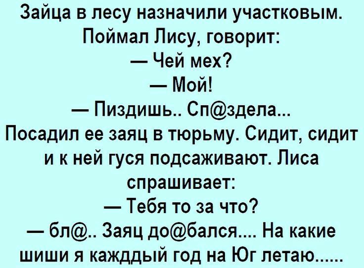 Зайца в лесу назначили участковым Поймал Пису говорит Чей мех Мой Пиздишь Спздела Посадил ее заяц в тюрьму Сидит сидит и к ней гуся подсаживают Лиса спрашивает Тебя то за что бп Заяц добался На какие шиши я кажддый год на Юг летаю