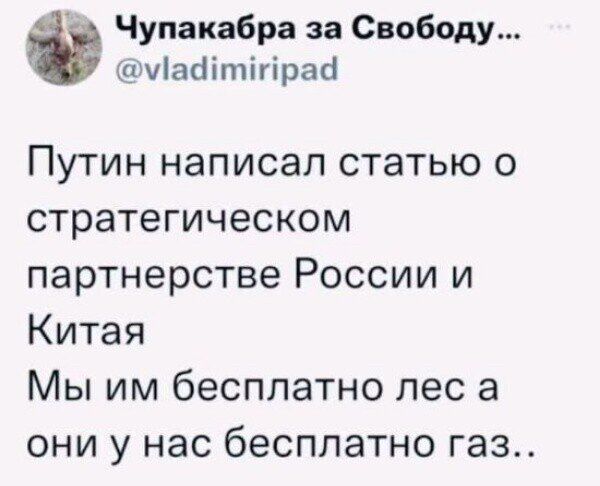 Чупакабра за Свободу уіаоітігіраа Путин написал статью о стратегическом партнерстве России и Китая Мы им бесплатно лес а они у нас бесплатно газ