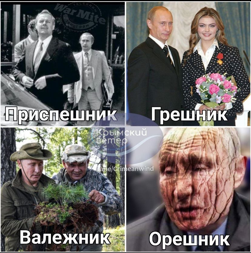 Валежник Орещнй