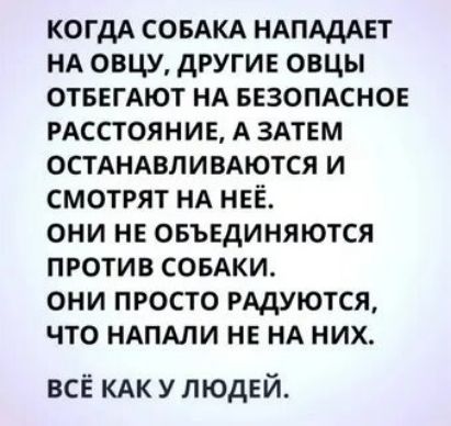 КОДА СОБАКА НАПАДАЕТ НА ОВЦУ, ДРУГИЕ ОВЦЫ ОТБЕГАЮТ НА БЕЗОПАСНОЕ РАСТОЯНИЕ, А ЗАТЕМ ОСТАНАВЛИВАЮТСЯ И СМОТРЯТ НА НЕЁ. ОНИ НЕ ОБЪЕДИНЯЮТСЯ ПРОТИВ СОБАКИ. ОНИ ПРОСТО РАДУЮТ, ЧТО НАПАЛИ НЕ НА НИХ. ВСЁ КАК У ЛЮДЕЙ.