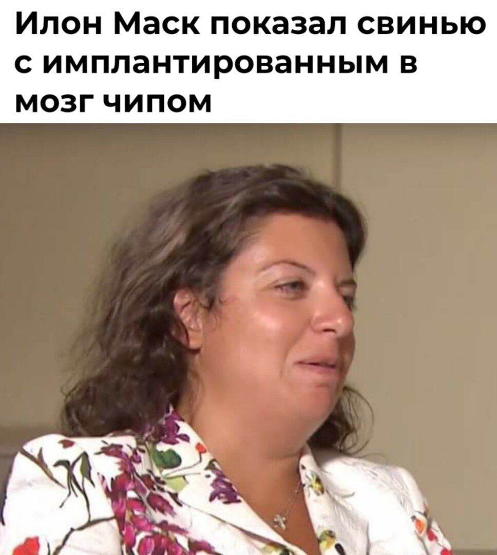Илон Маск показал свинью с имплантированным в мозг чипом