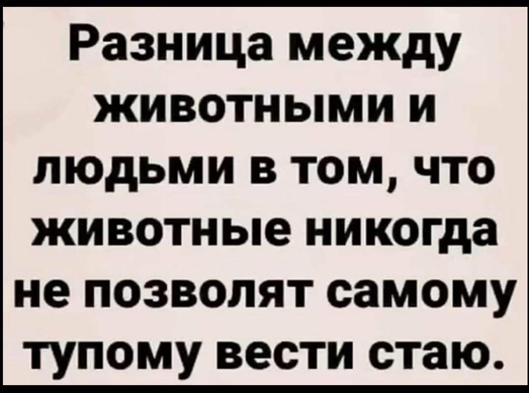 Разница между животными и людьми в том, что животные никогда не позволят самому тупому вести стадо.