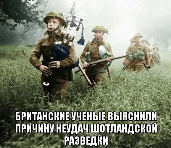 БРИТАНСКИЕ УЧЁНЫЕ ВЫЯСНИЛИ ПРИЧИНУ НЕУДАЧ ШОТЛАНДСКОЙ РАЗВЕДКИ