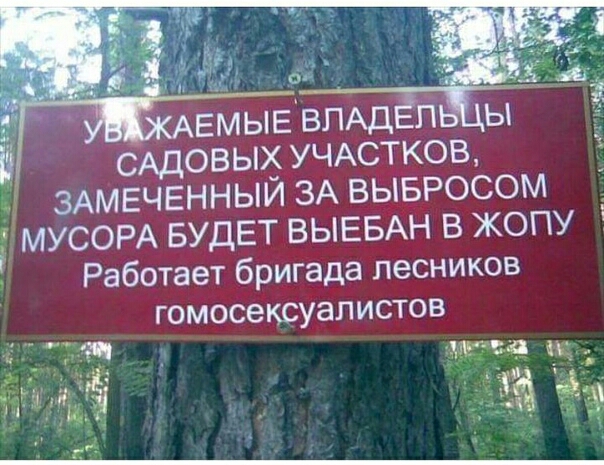 САДОВЫХ УЧАСТКОВ ЗАМЕЧЕННЫИ ЗА ВЫБРОСОМ МУСОРА БУДЕТ ВЫЕБАН В ЖОПУ Работает бригада лесников ГОМОСВКСУЭПИСТОВ Н 33 М _ Нч