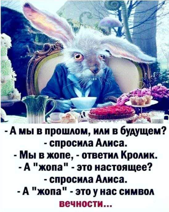 м5 или будущем спросила Алиса Мы в жопе ответил Кролик А жопа это настоящее спросила Алиса А жопа это у нас символ вечности