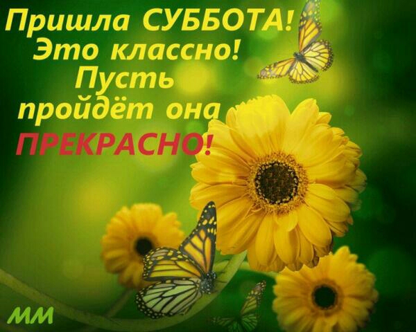 Пришла СУББОТА Это класснад Пусть Ёпіі пройдё