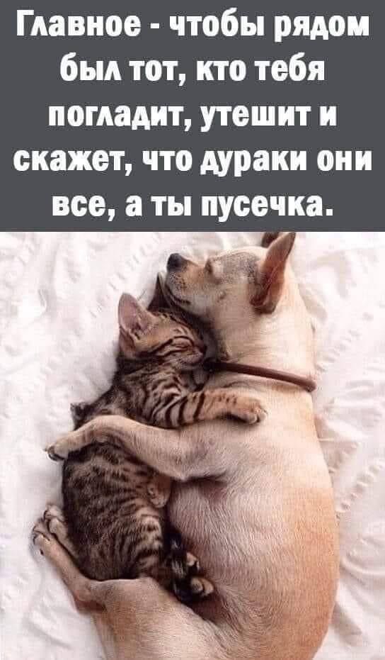 Главное - чтобы рядом был тот, кто тебя погладит, утешит и скажет, что дураки они все, а ты пушечка.