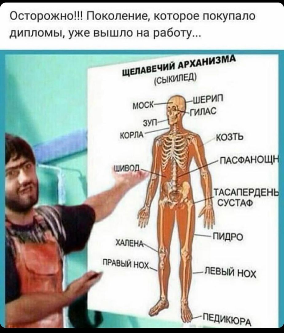 Осторожно Поколение которое покупало ДИПЛОМЫ уже ВЫШЛО на работу