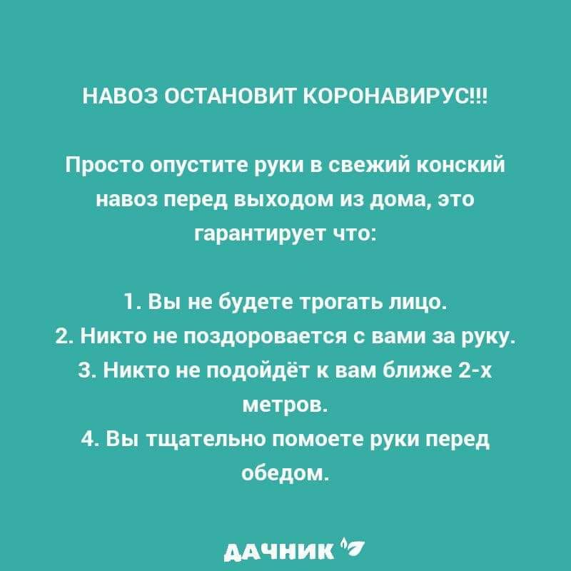 НАВОЗ ОСТАНОВИТ КОРОНАВИРУС Просто опустите руки в свежий конский навоз перед выходом из дома это гарантирует что 1 Вы не будете трогать лицо 2 Никто не поздоровается с вами за руку 3 Никто не подойдёт к вам ближе 2 х метров 4 Вы тщательно помоете руки перед обедом мчиик