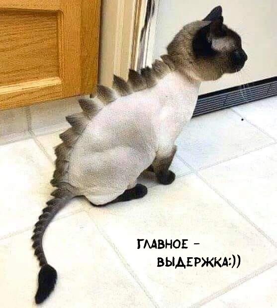 гмвнов выдержки