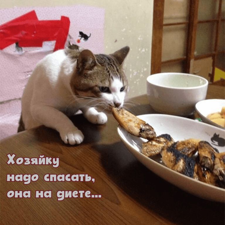 Хозяйки 69 СПСЦТЪ Она на висте