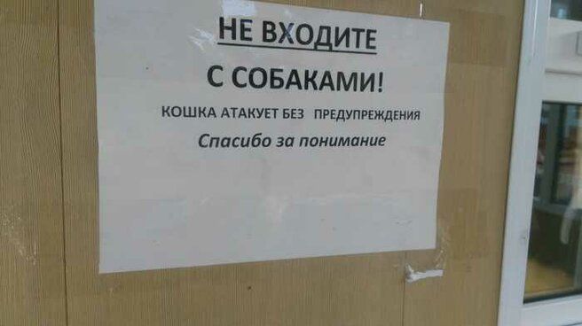 НЕ вхо итд С СОБАКАМИ киш мшты тибе за птицами