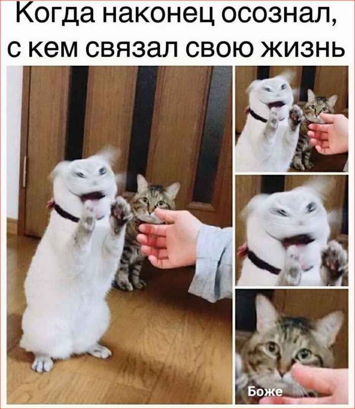 Когда наконец осознал с кем связал свою жизнь
