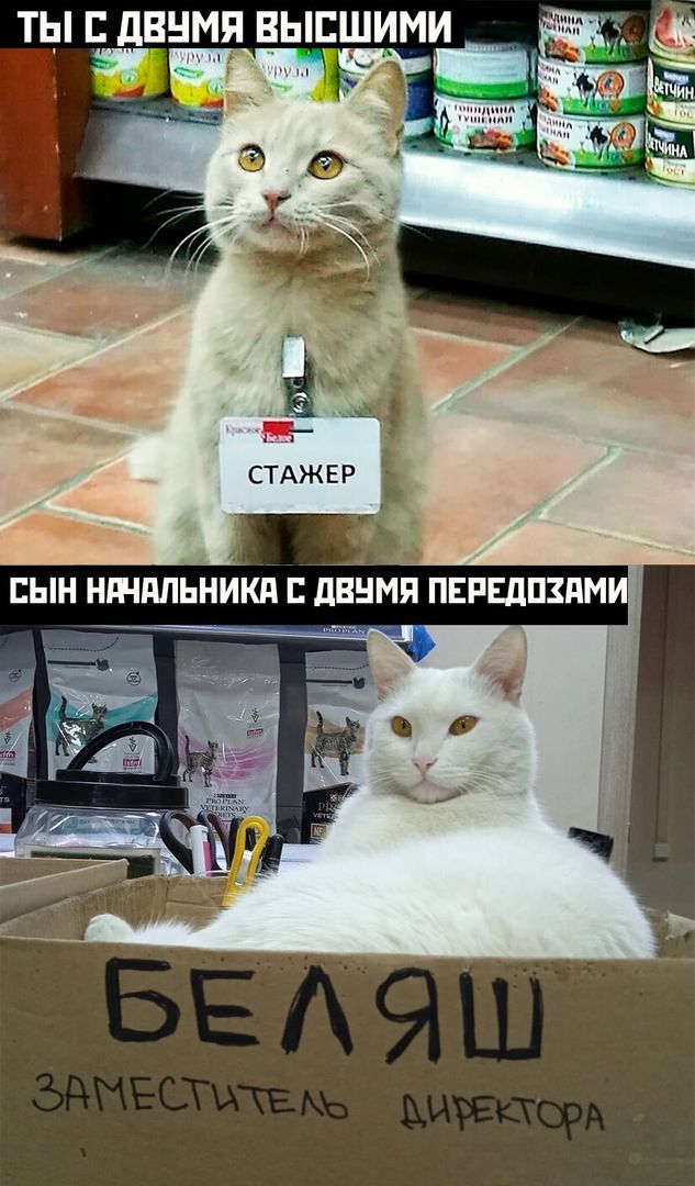 ТЫ дВНМЯ ВЫЕШИМИ Ч ч из