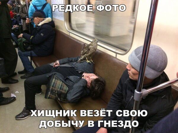 ШЭ БЫЧУ В ГНЕЗДО