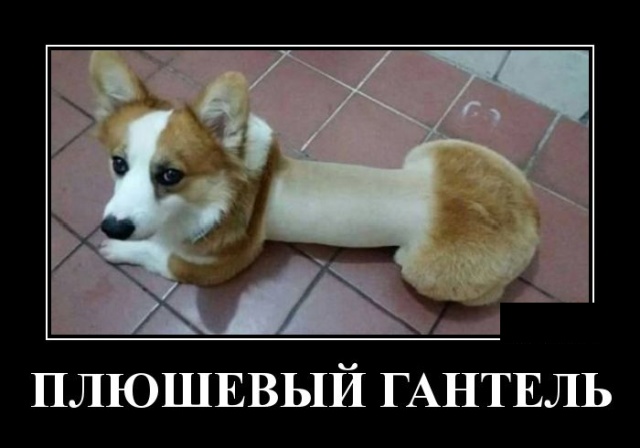 _ _ ПЛЮШЕВЬЁЙ ГАНТЕЛЬ