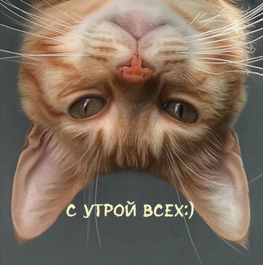 с утРой всЕх