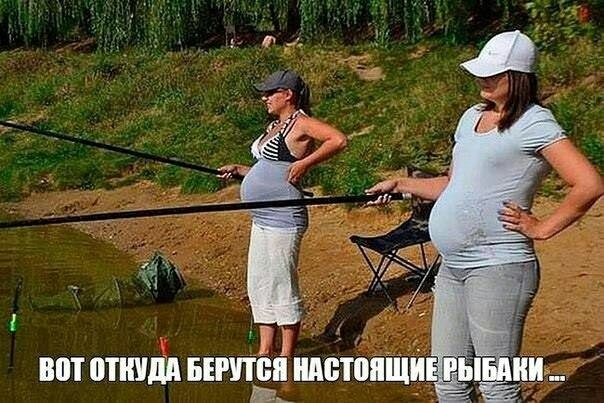 Н ВПТ ППМ БЕРПЕ 1ЖЩ_