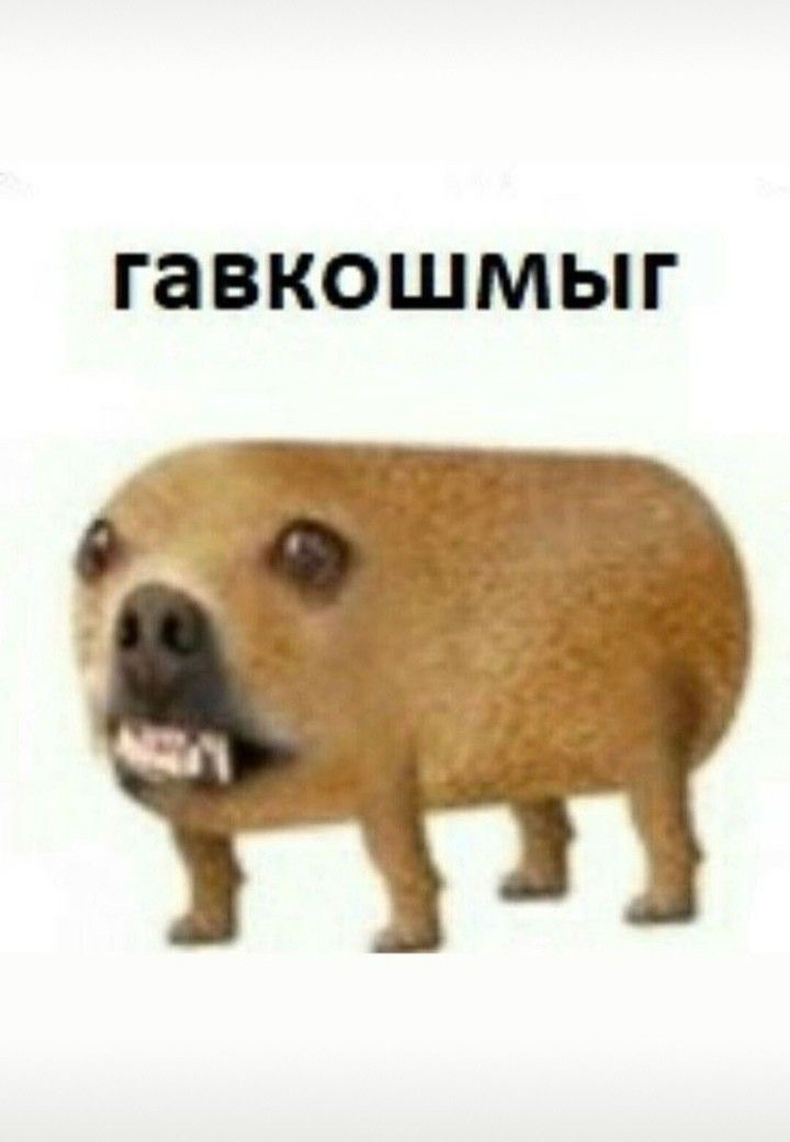 ГЗВКОШМЫГ