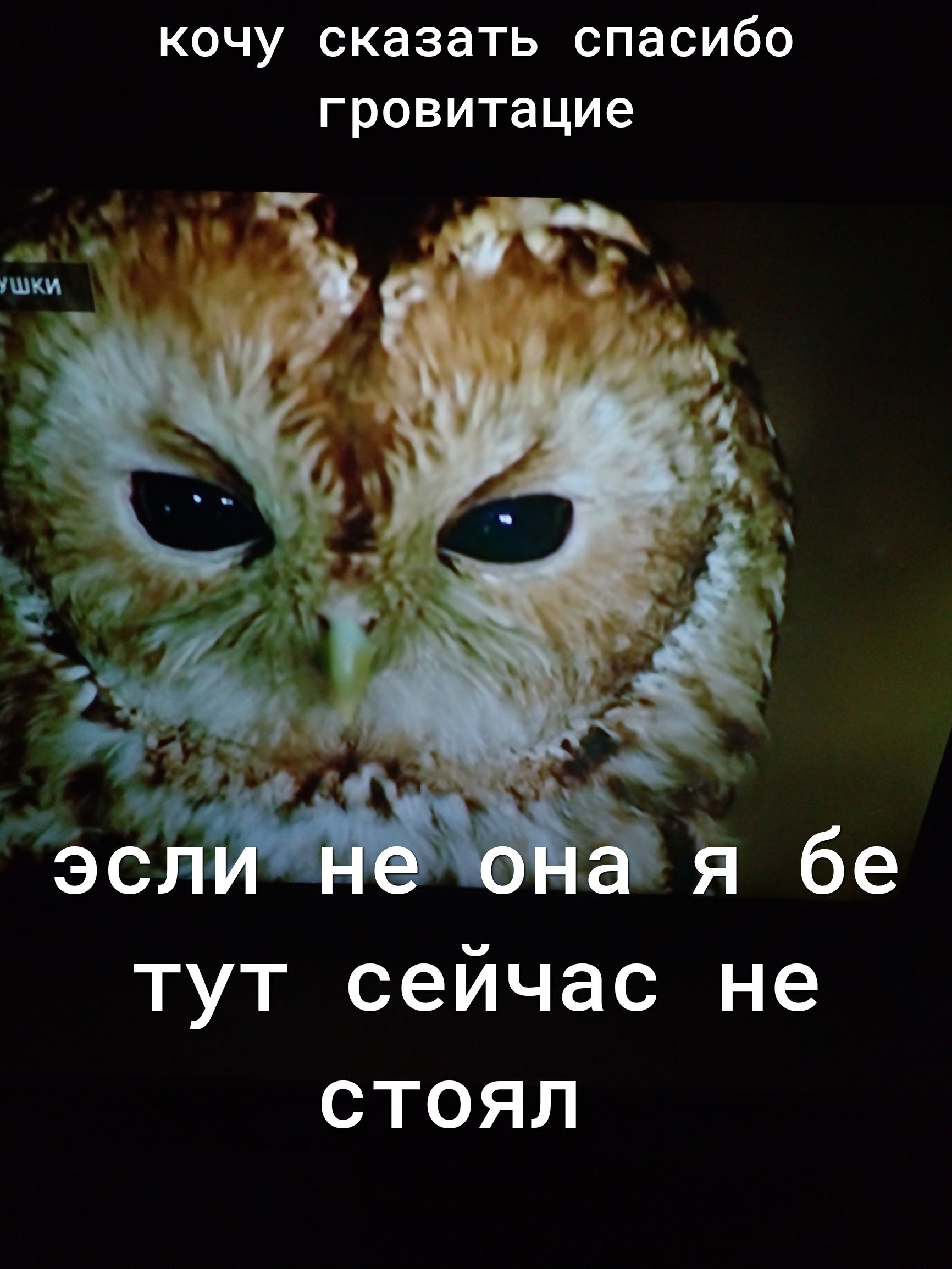 кочу сказать спасибо гровитацие тут сейчас не стоял