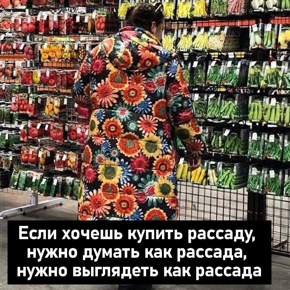 нужно думать как рассада нужно выглядеть как рассада