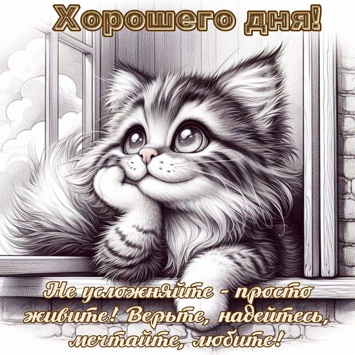 Хорошего дня! Не усложняйте - просто живите! Верьте, надейтесь, мечтайте, любите!