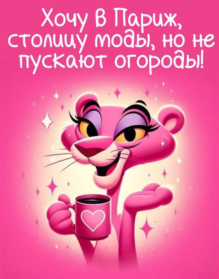 Хочу в Париж, столицу моды, но не пускают огороды!