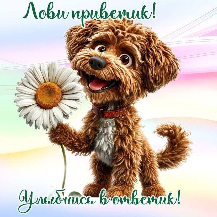 Лови приветик! Улыбнись в ответик!