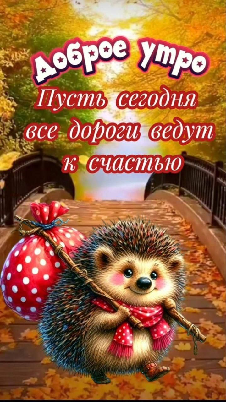 Доброе утро
Пусть сегодня все дороги ведут к счастью
