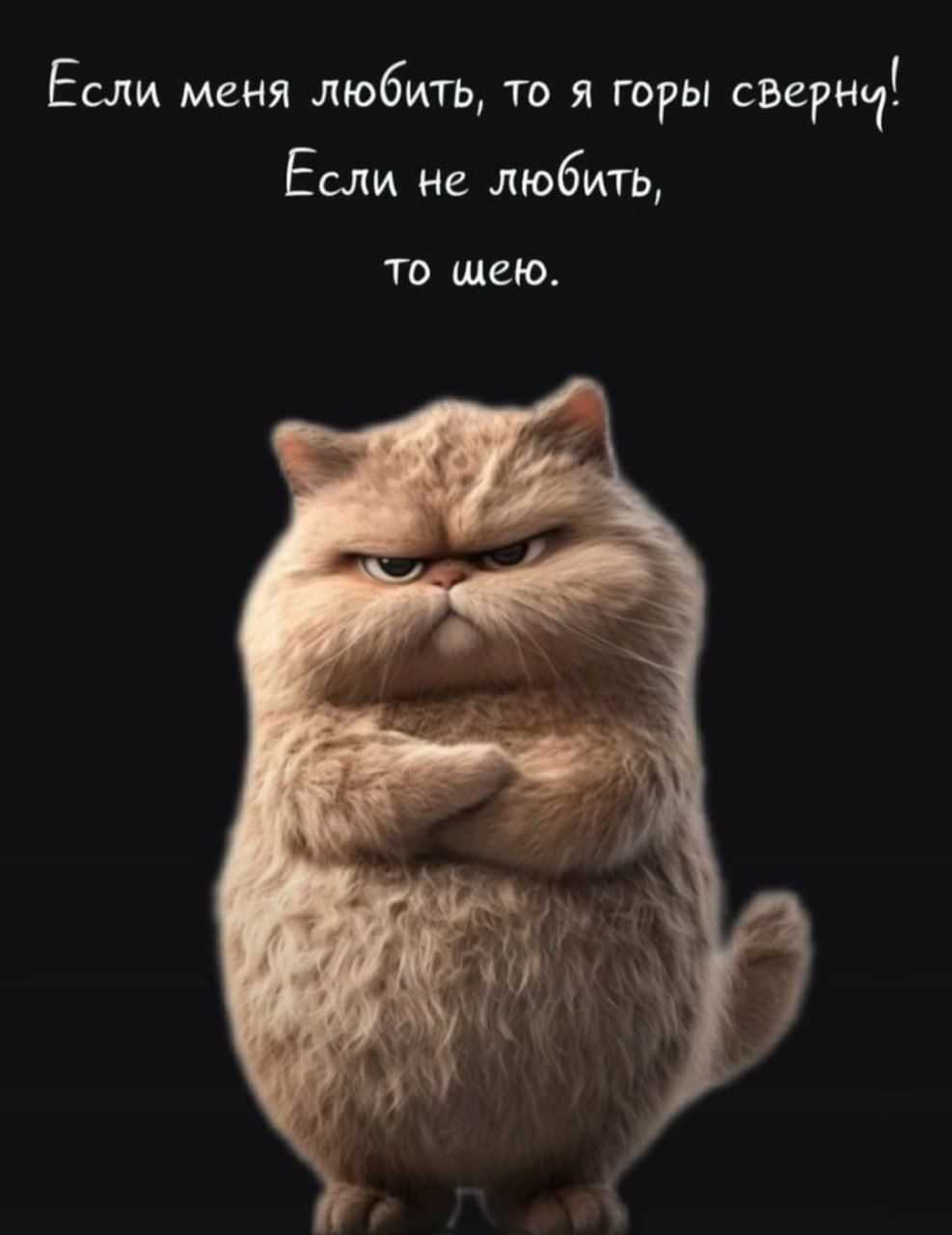Если меня любить, то я горы сверну! Если не любить, то шёю.
