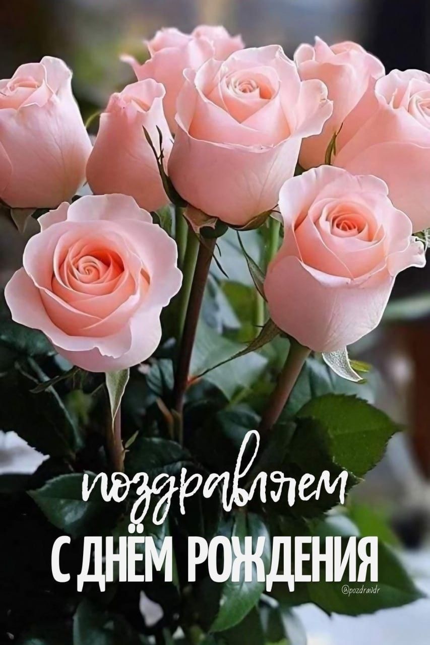 поздравляем С ДНЁМ РОЖДЕНИЯ