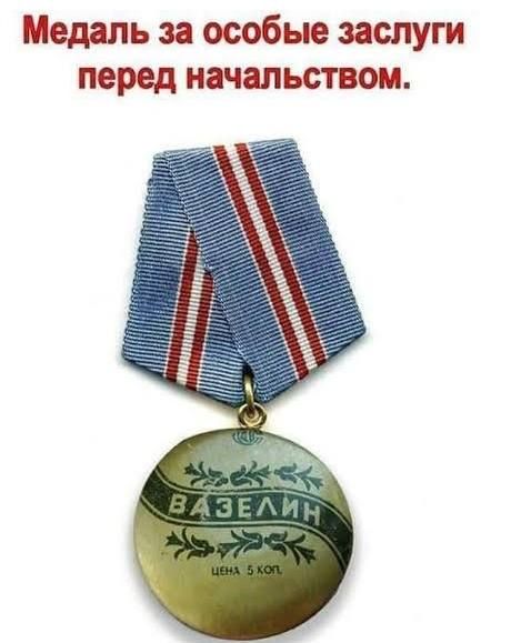 Медаль за особые заслуги перед начальством.