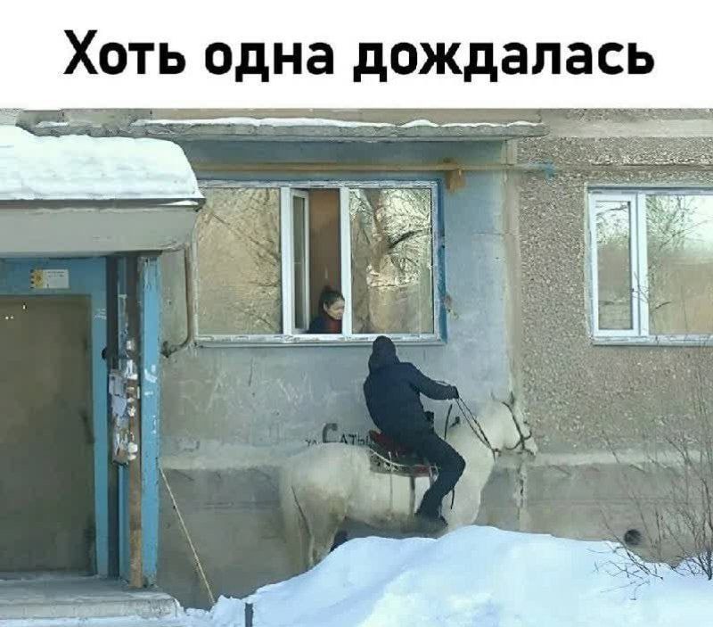 Хоть одна дождалась