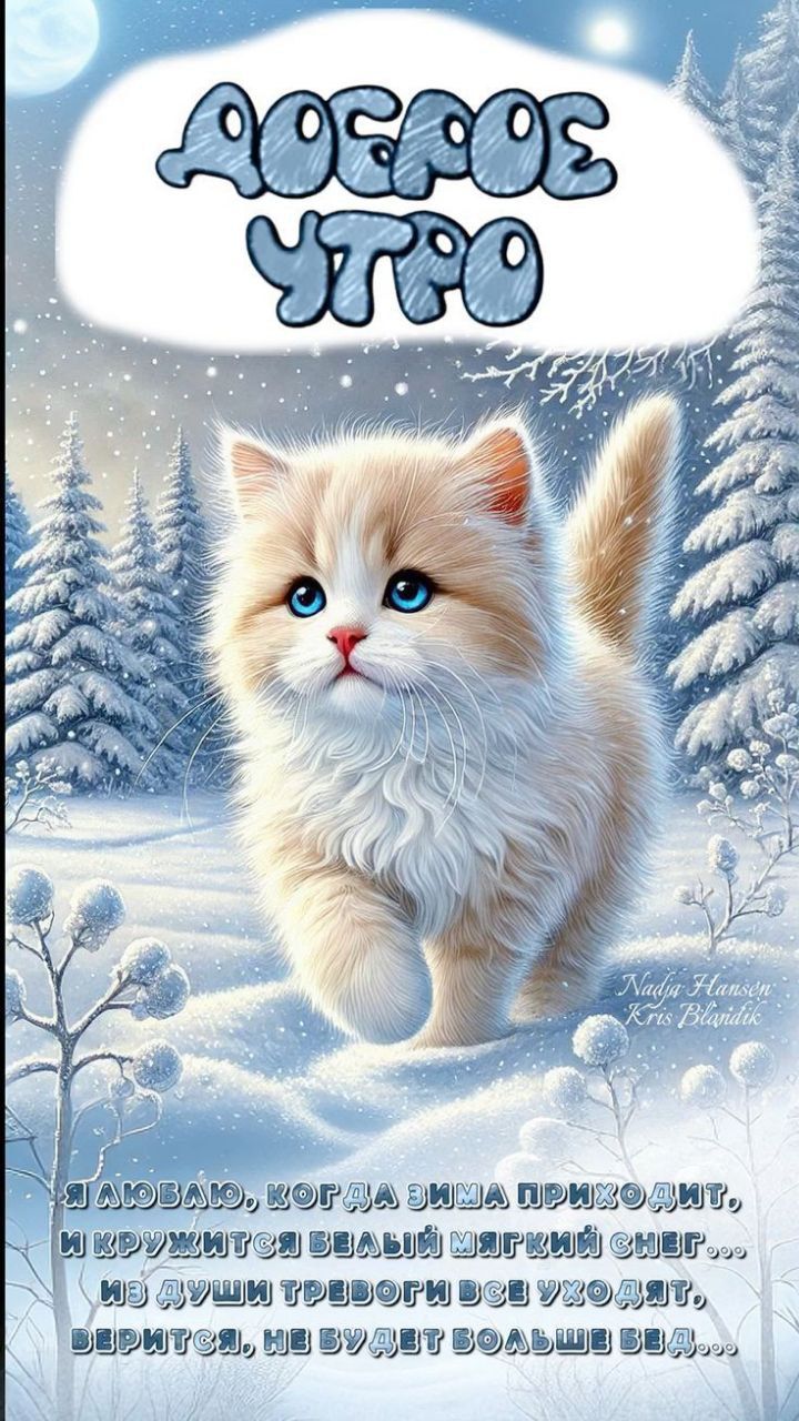 ДОБРОЕ УТРО. Я люблю, когда зима приходит, и кружится белый мягкий снег, из души тревоги все уходят, верится, не будет больше звезд.