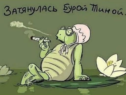 Затянулась бурой тиной.