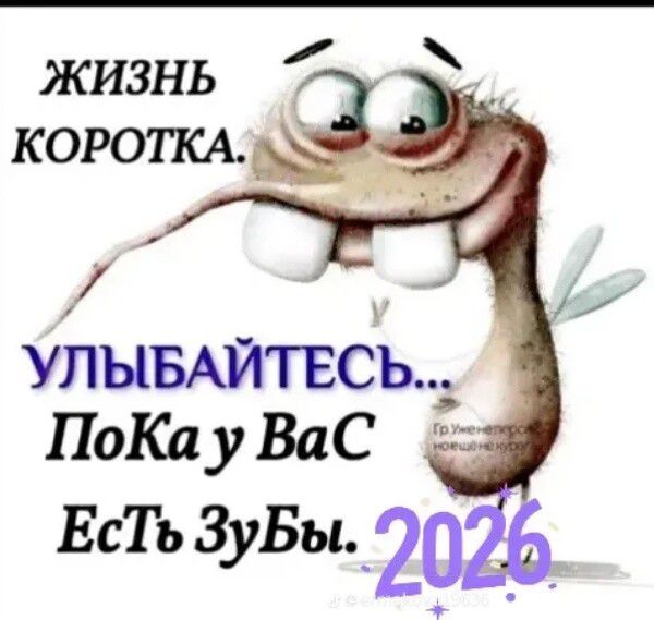 Жизнь коротка. Улыбайтесь... Пока у вас есть зубы. 2026
