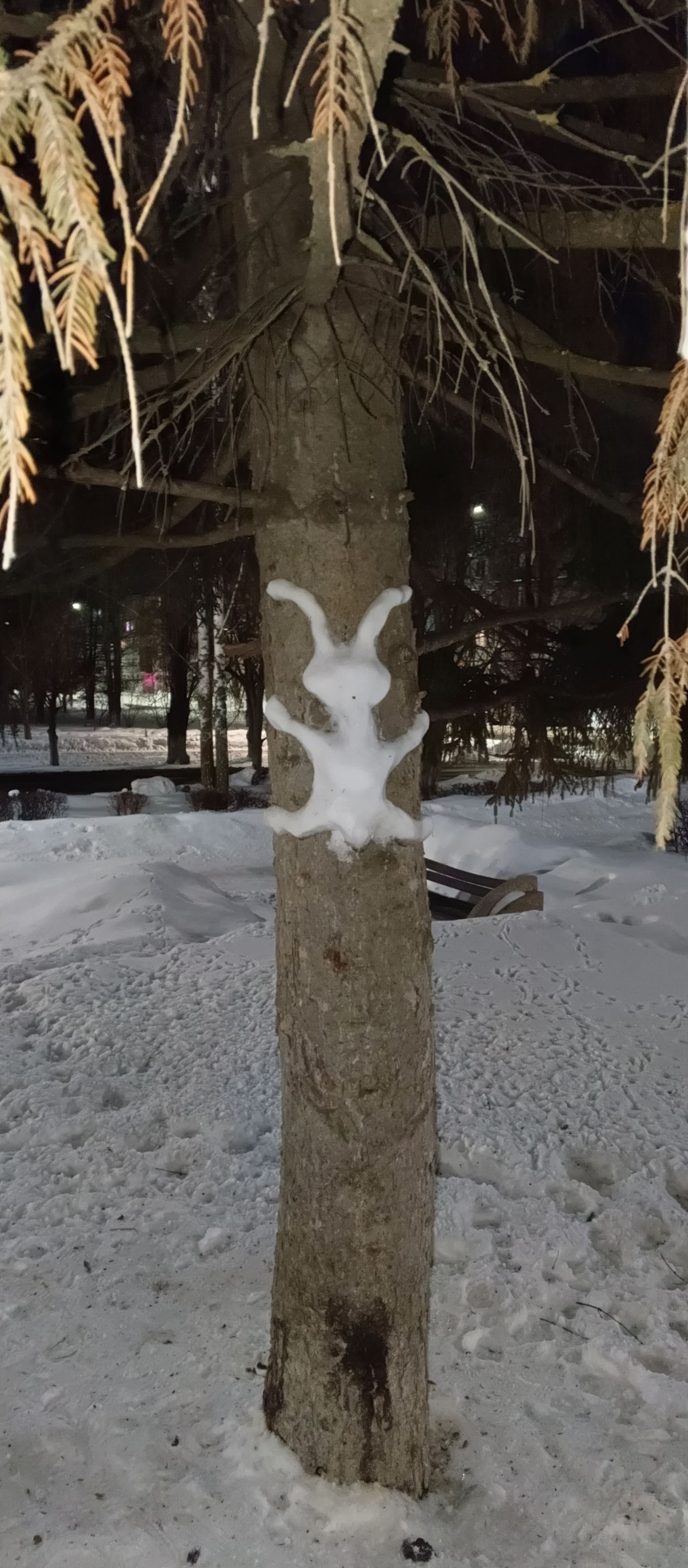 На стволе дерева в снегу образовалась фигура, похожая на человека