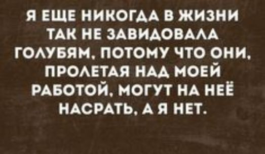 Я ЕЩЕ НИКОГАА В ЖИЗНИ ТАК НЕ ЗАВИДОВАЛА ГОЛУБЯМ ПОТОМУ ЧТО ОНИ ПРОЛЕТАЯ НАД МОЕЙ РАБОТОЙ МОГУТ НА НЕЁ НАСРАТЬ А Я НЕТ