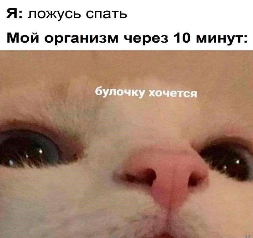 булочку хочется _ ц