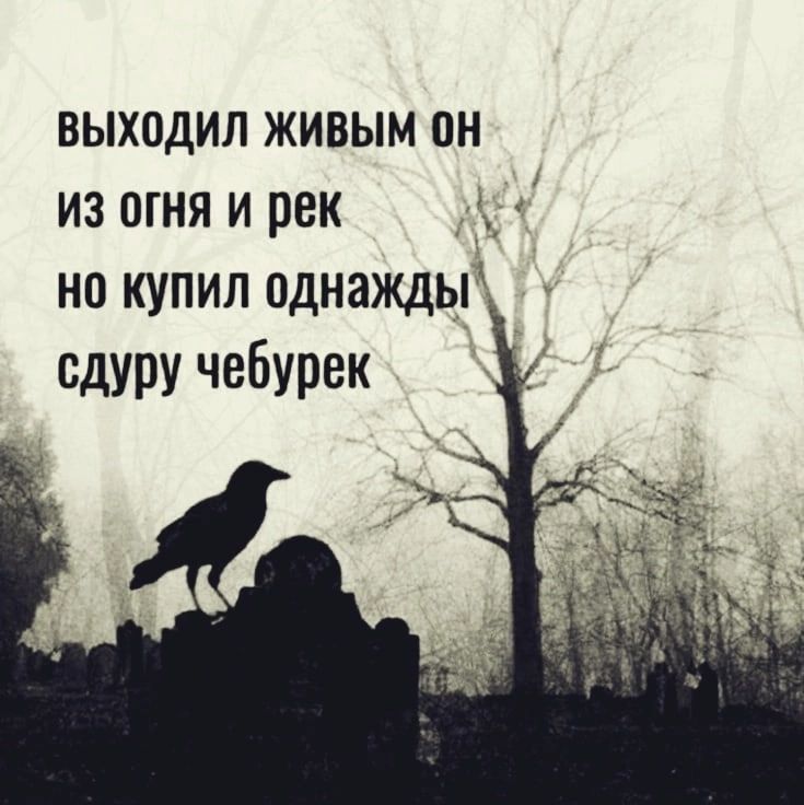 ВЫХОДИЛ ЖИВЫМ ОН из огня и рек но купил однажды сдуру чебурек